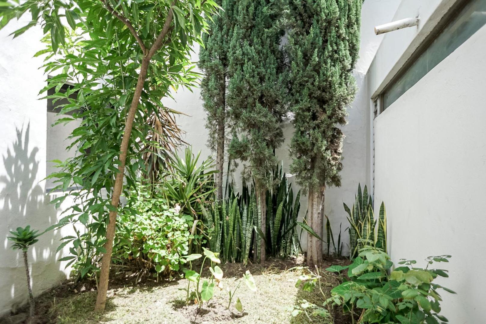 Casa Morelos Stayhouse Сан-Луис-Потоси Экстерьер фото
